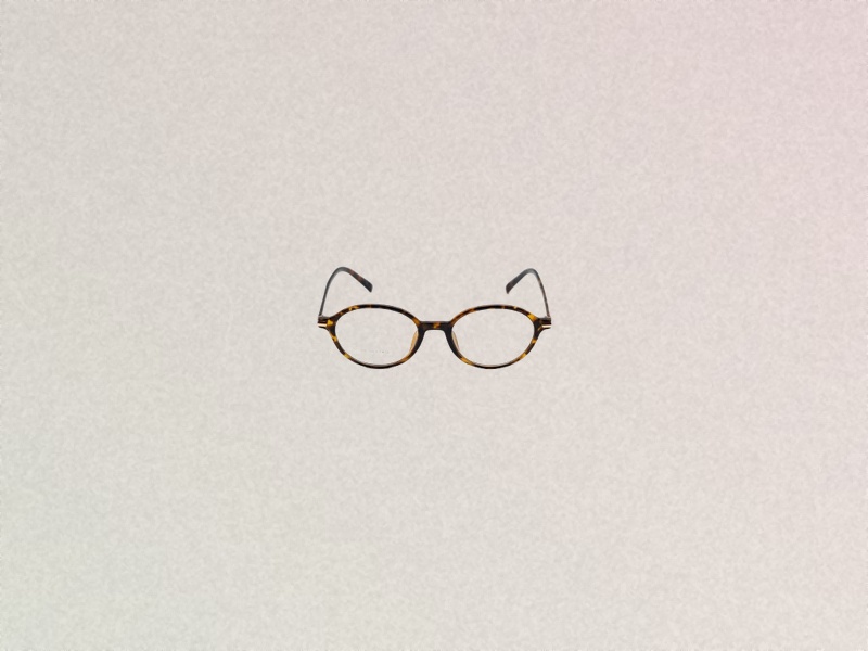 Classic Tortoiseshell Glasses