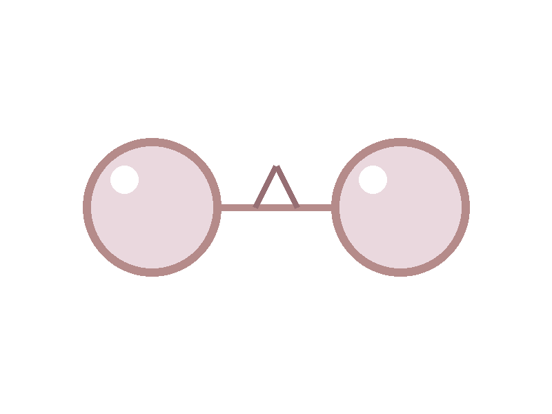 Rose Tinted Tortoiseshell Glasses