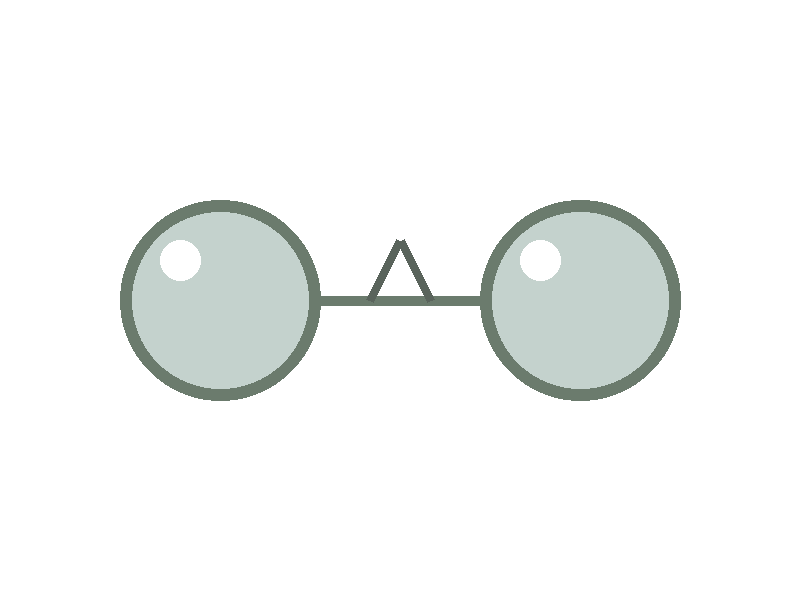 Sage Green Tortoiseshell Glasses